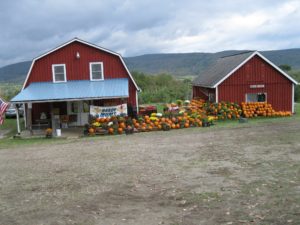 farmstand and bakery